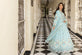 Pakistani Chiffon Dress