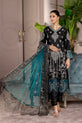 luxury Pakistani dress
